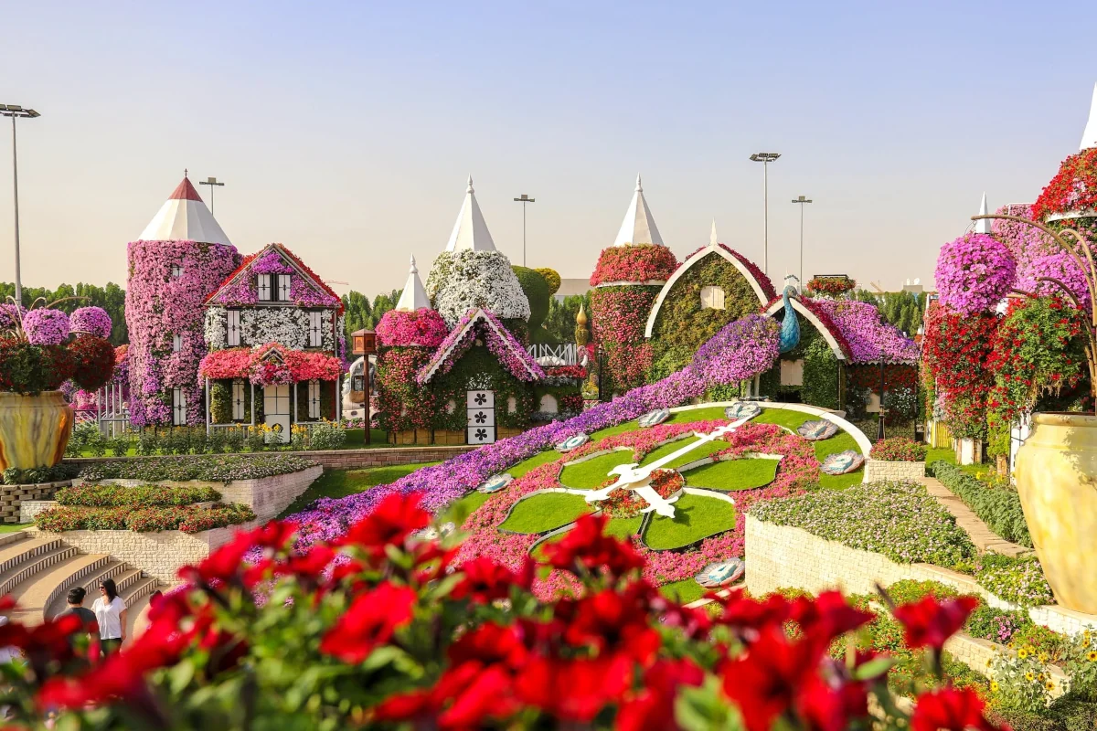Get lost in The Miracle Garden