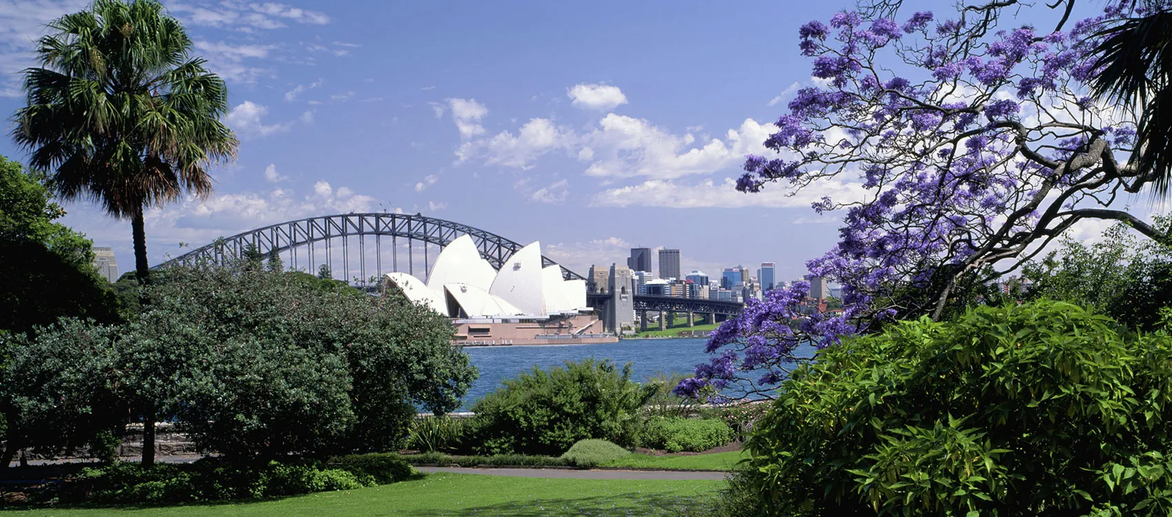 Explore the Royal Botanic Garden