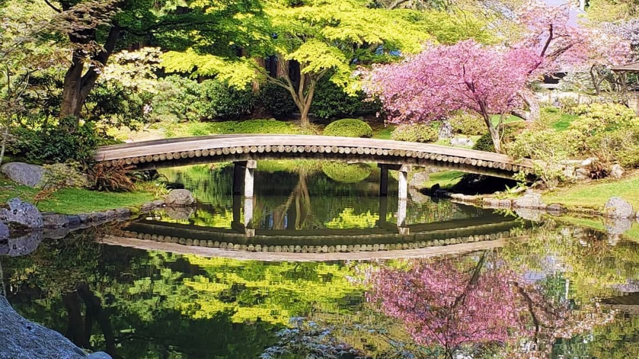 Explore the Nitobe Memorial Garden
